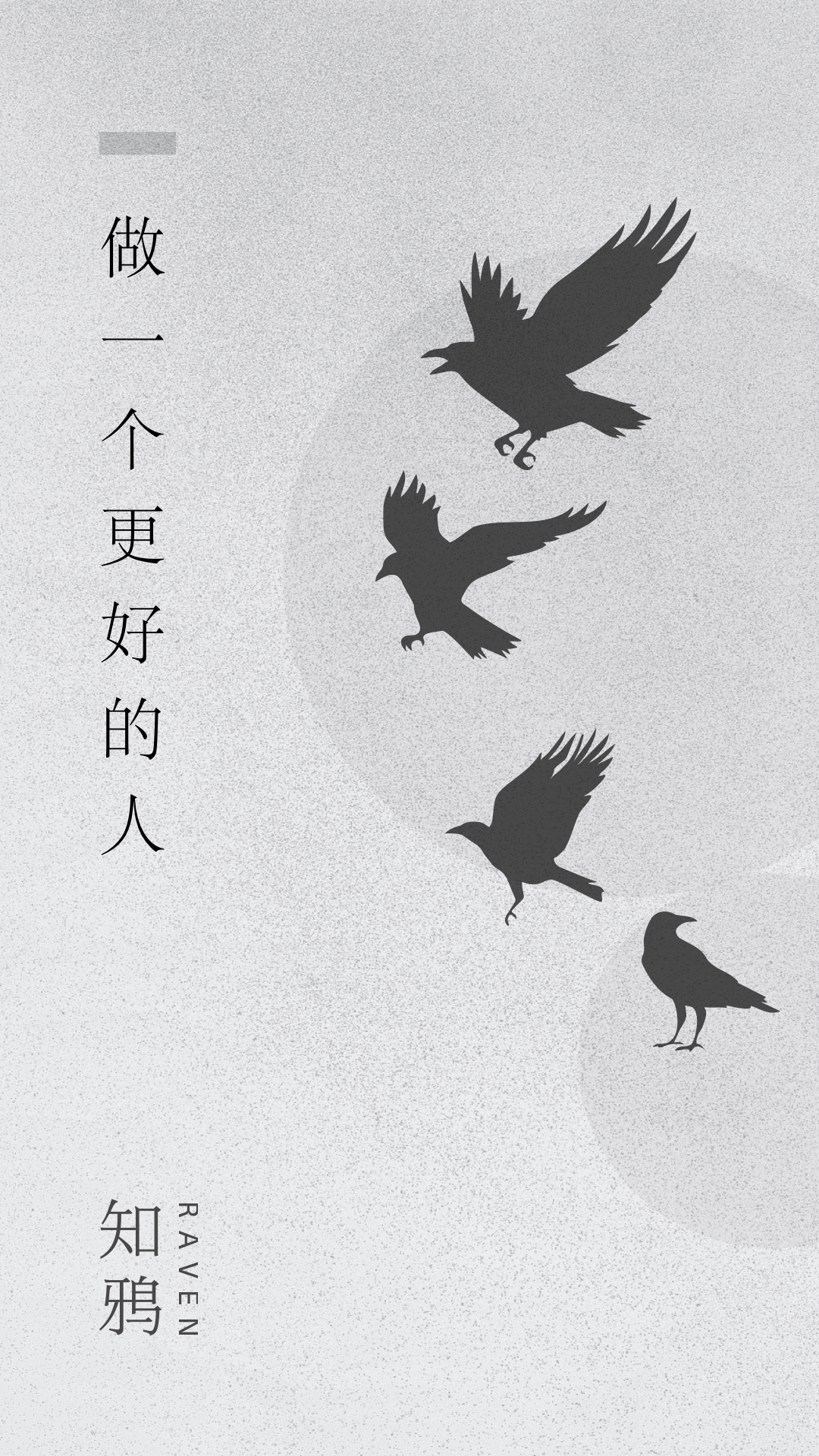 知鸦